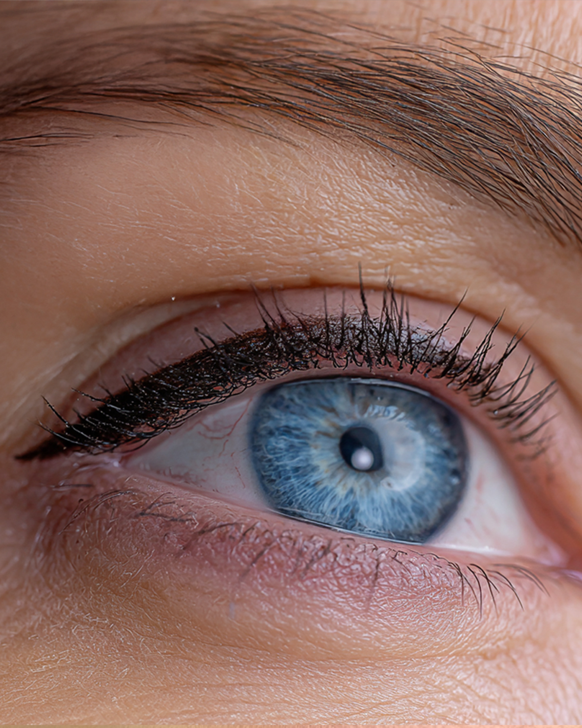 Ojos
